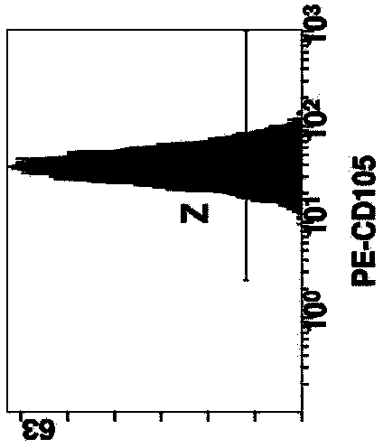 Method for cultivating autologous umbilical cord mesenchymal stem cells by adopting human umbilical cord blood rich platelet lysate