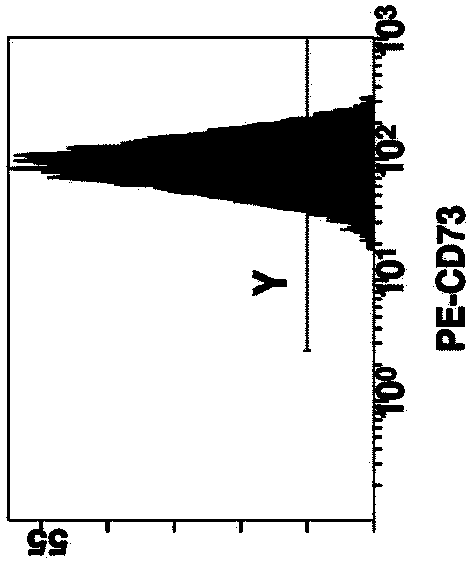 Method for cultivating autologous umbilical cord mesenchymal stem cells by adopting human umbilical cord blood rich platelet lysate