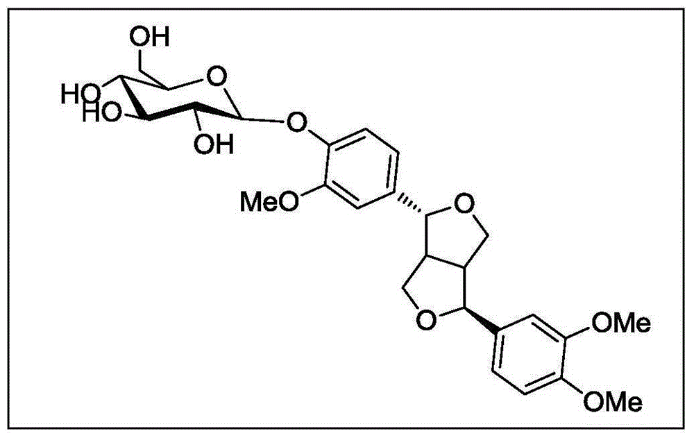 Application of phillyrin, phillyrin derivatives, and phillyrin-phillygenin composition in preparation of anti-aging drugs