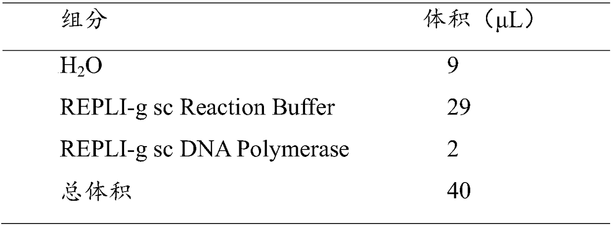 Unicellular whole genome amplification and library construction method capable of improving coverage degree of genome