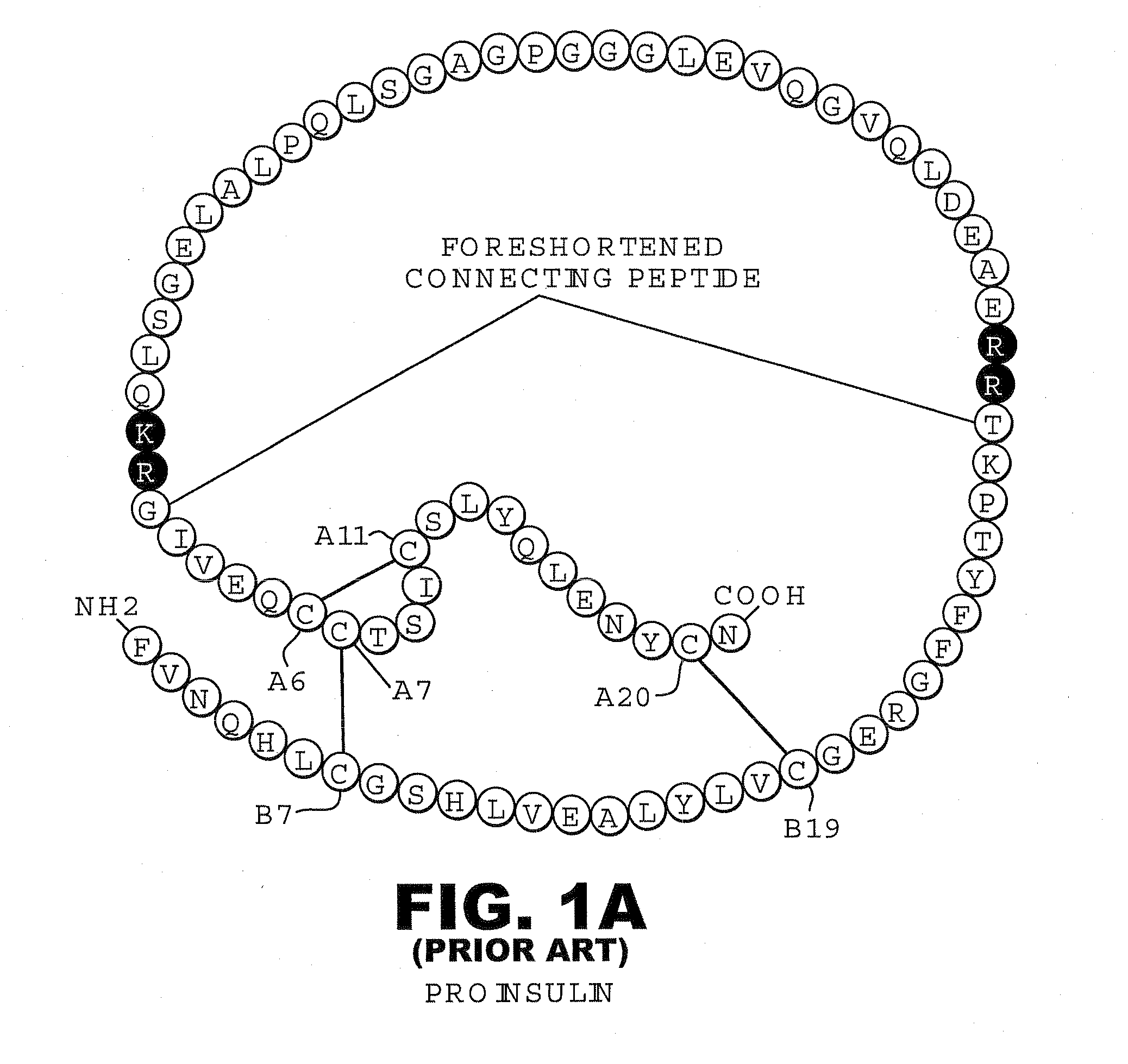 Isoform-specific insulin analogues