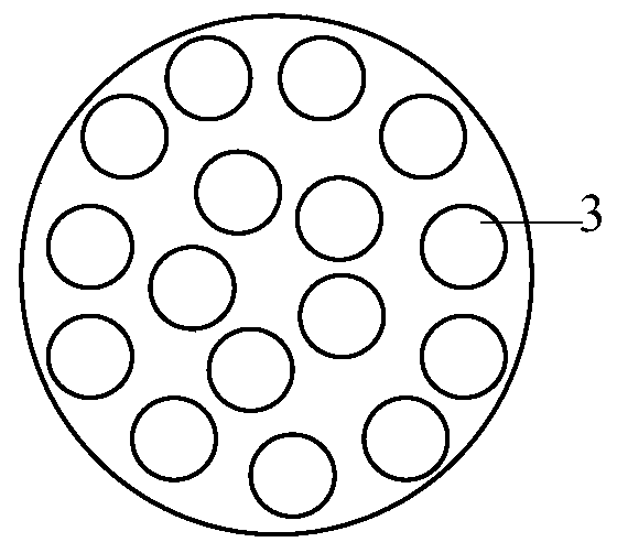 A kind of feeding device and feeding method of spinosa spinosa