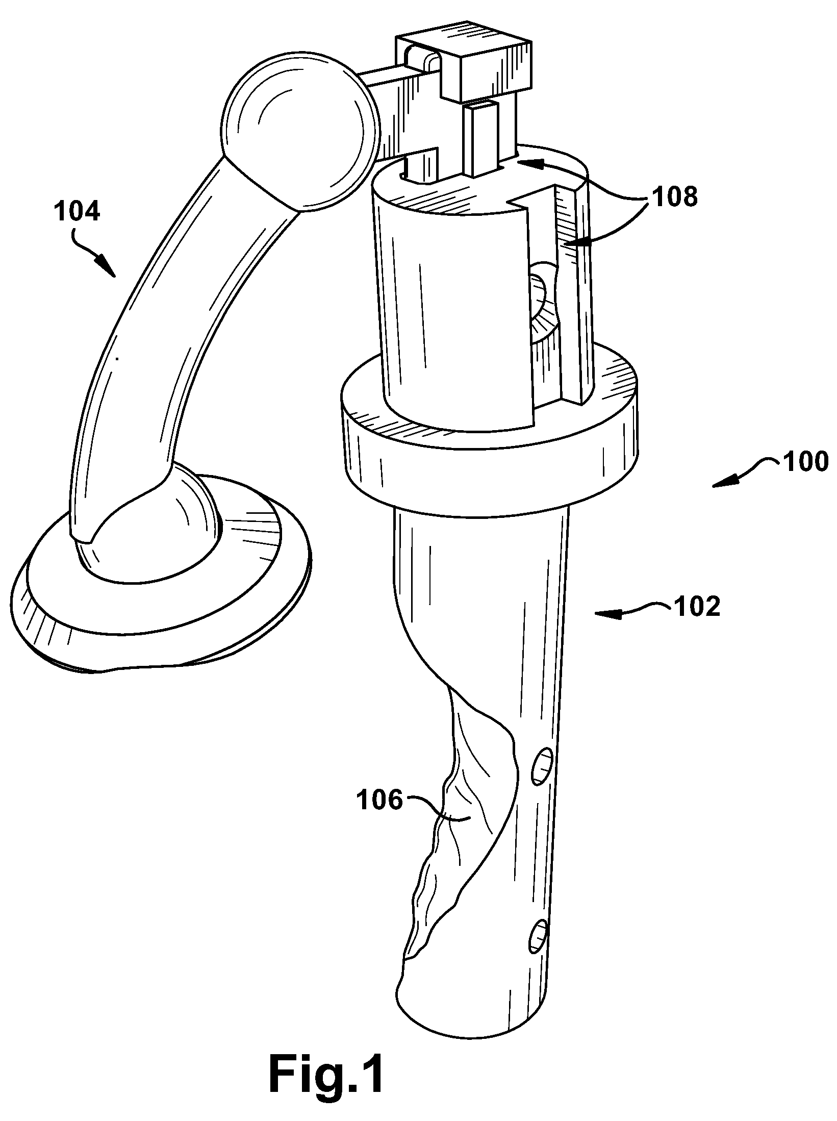 Apparatus and method for providing a reference indication to a patient tissue