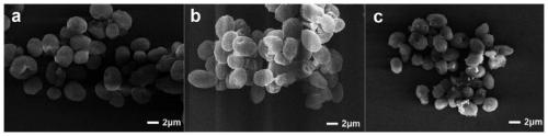 Amphiphilic biochar compound with anti-bacterial and anti-coagulation properties and preparing method and application thereof