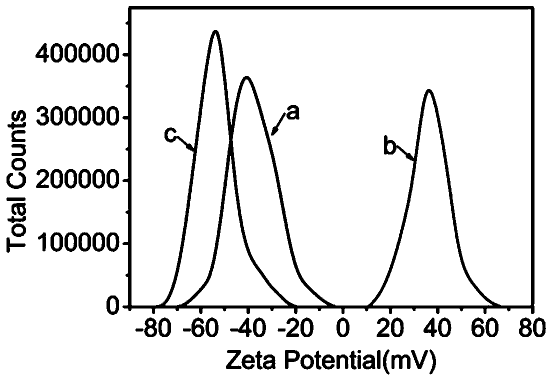 Amphiphilic biochar compound with anti-bacterial and anti-coagulation properties and preparing method and application thereof