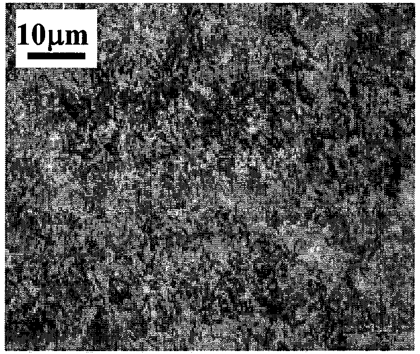 Ultra-high strength hot rolling wire rod of 2200 Mpa level and manufacture method thereof