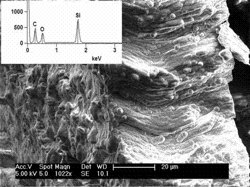 Preparation method for silicon-carbon composite nano tube array