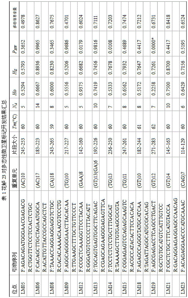 Method for massively and efficiently developing molecular markers on basis of Indel and SSR (simple sequence repeat) site techniques