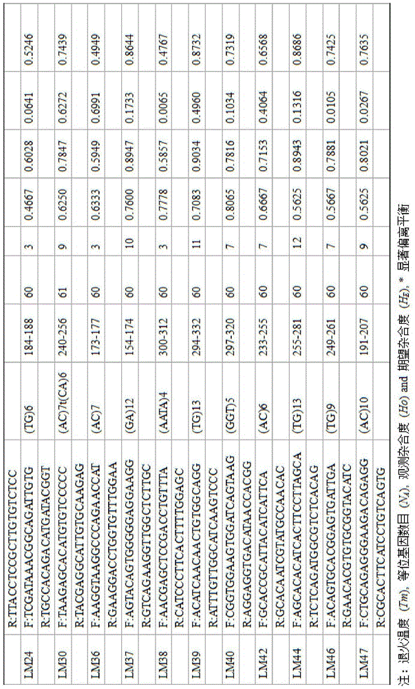 Method for massively and efficiently developing molecular markers on basis of Indel and SSR (simple sequence repeat) site techniques