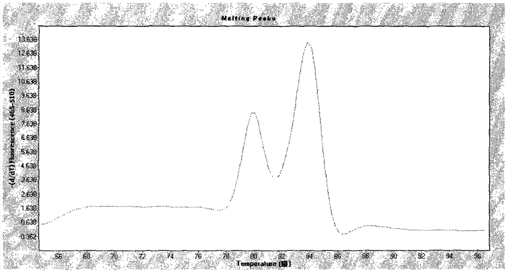 Fluorescent quantitative PCR method for simultaneous detection of streptococcus suis subtype 2 (SS2) extracellular protein factor and hemolysin gene