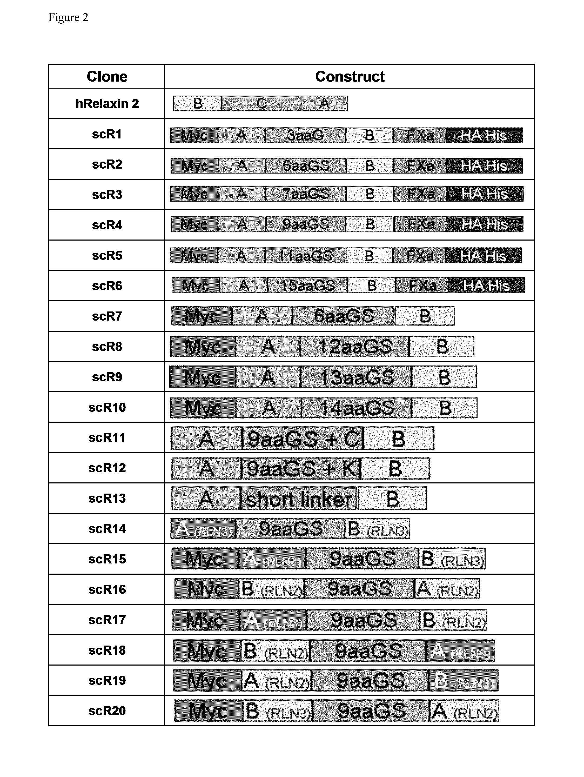 Relaxin fusion polypeptides and uses thereof