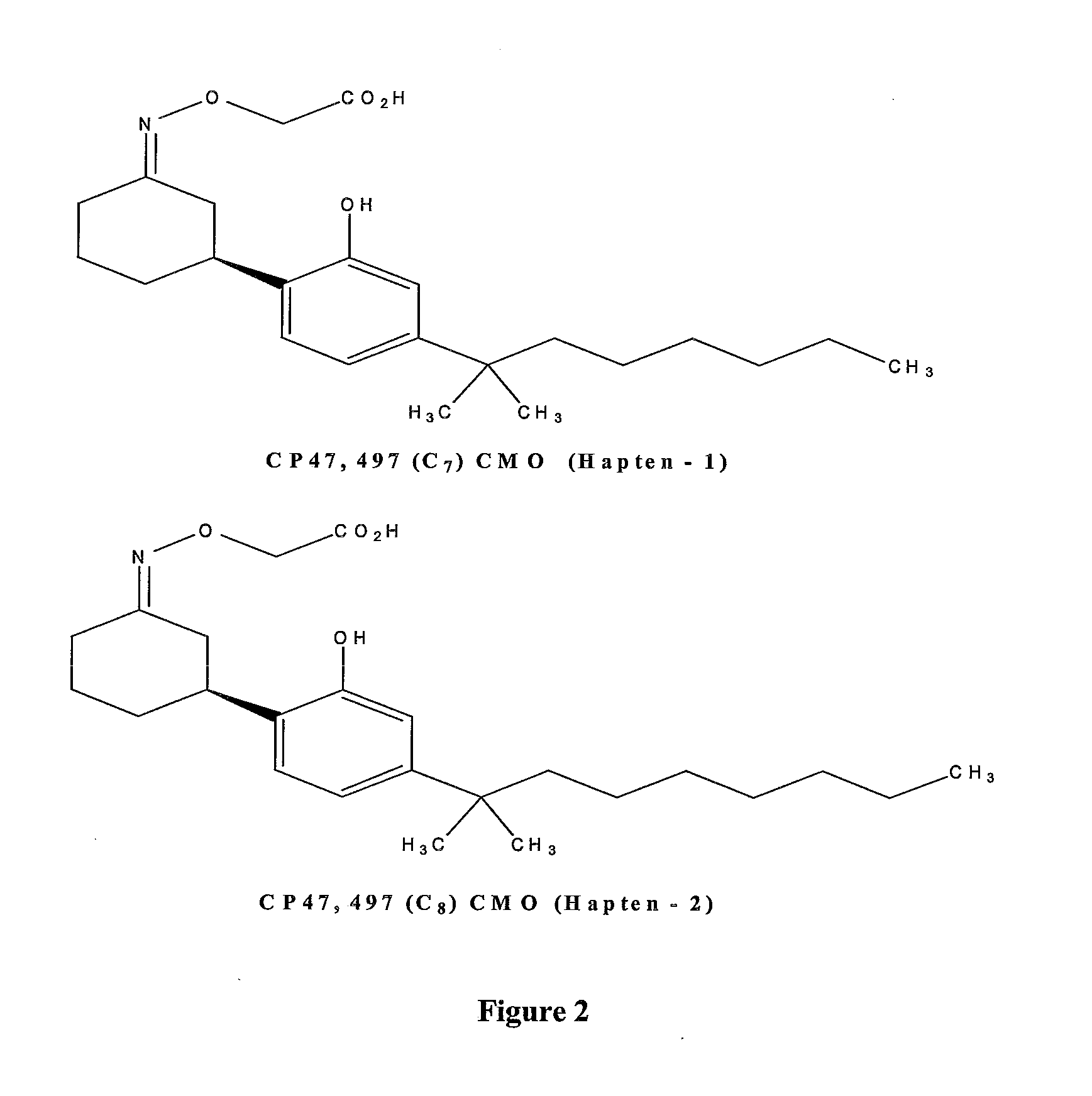 Detection of Synthetic Cannabinoids