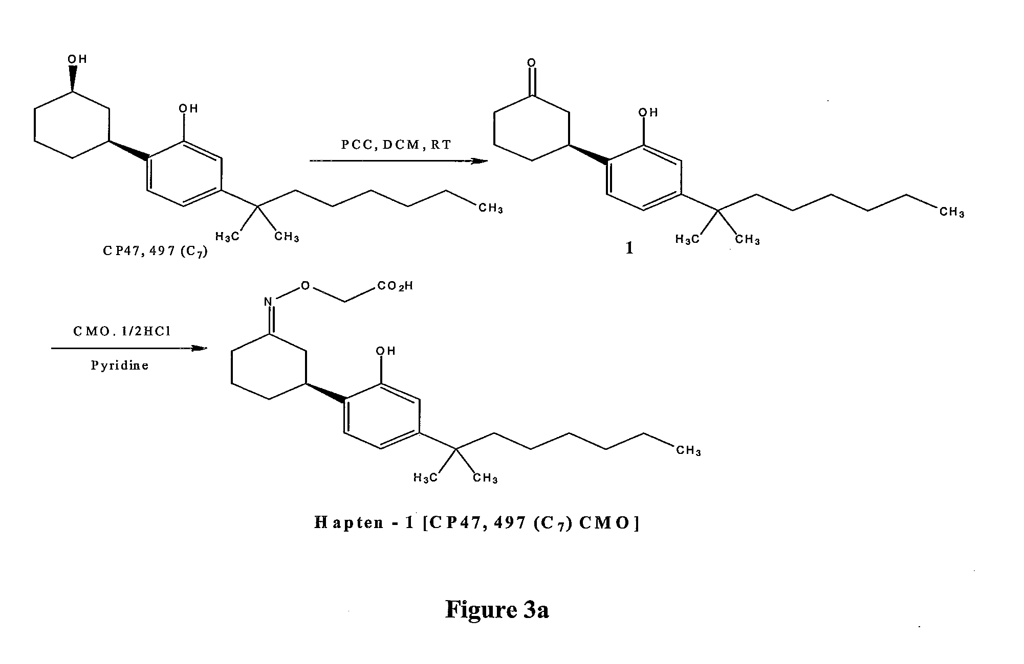 Detection of Synthetic Cannabinoids