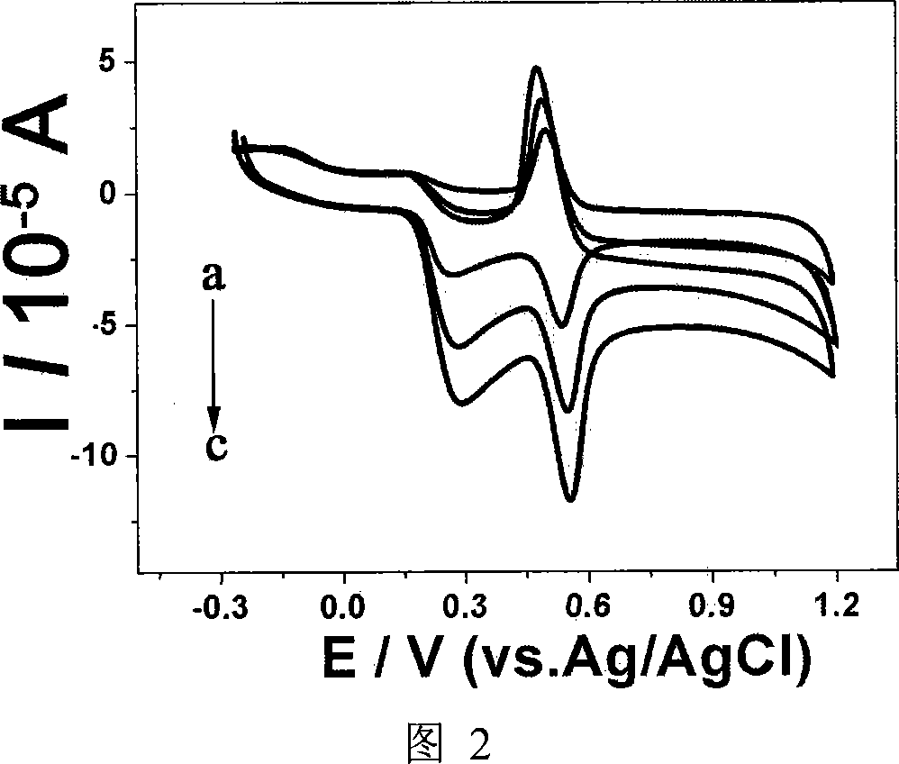 Electrochemical sensor for simultaneously determining epinephrine and ascorbic acid