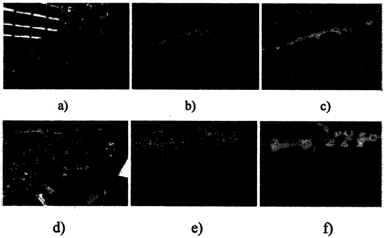 Single Image Crowd Counting Algorithm Based on Multi-column Convolutional Neural Network