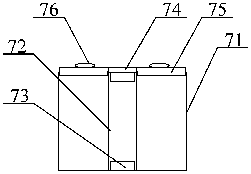 Green vegetable disinfecting equipment