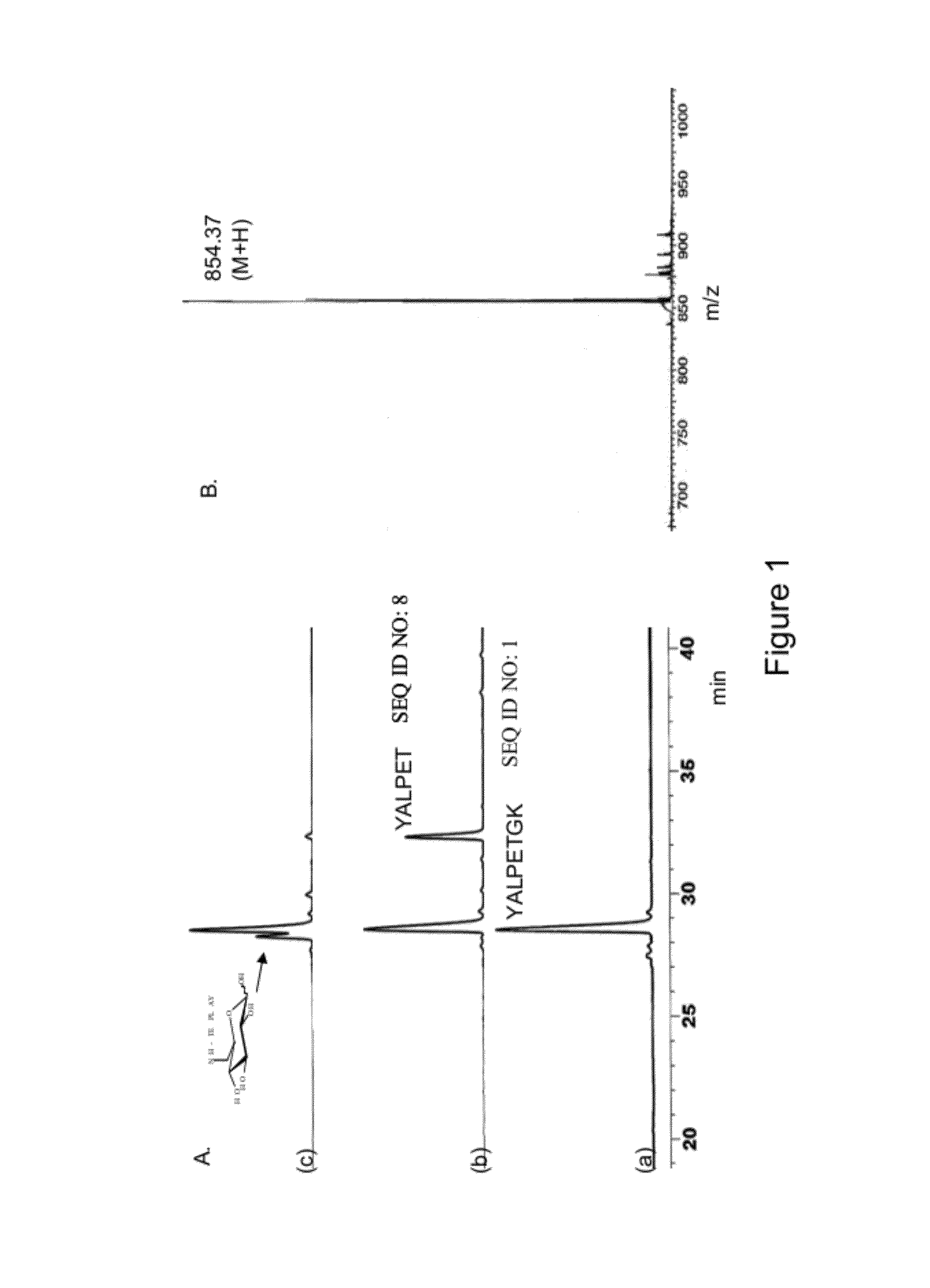 Bioconjugates as therapeutic agent and synthesis thereof