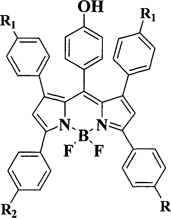 Pyrrole dimethine fluorescent dyes as well as synthetic method and use thereof