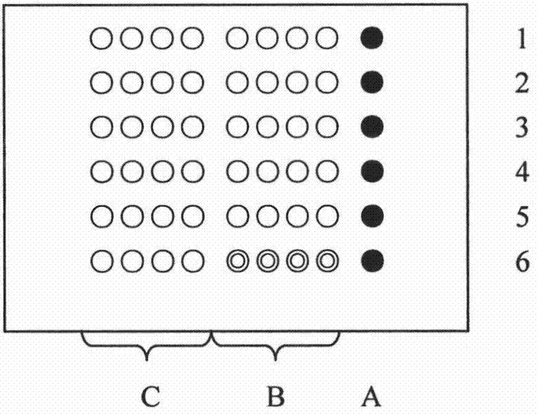 Biochip for detecting drug resistant genes of helicobacter pylori clarithromycin and preparation method and application thereof