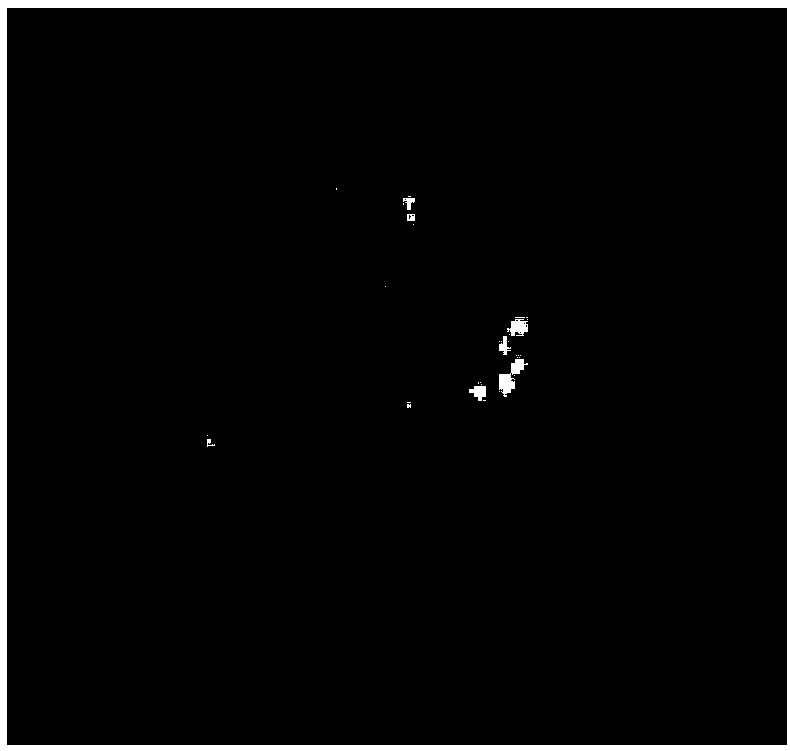 Method for Cultivating Maize-Tribograss Monosomy Addition Line Using Maize Allopolyploid