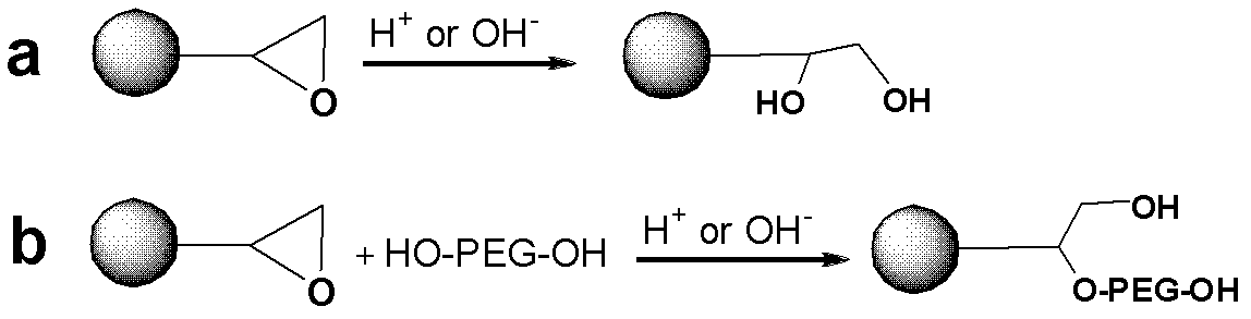 Polyacrylic ester and polyacrylic ester copolymer material hydrophilic modification products and hydrophilic modification method of polyacrylic ester