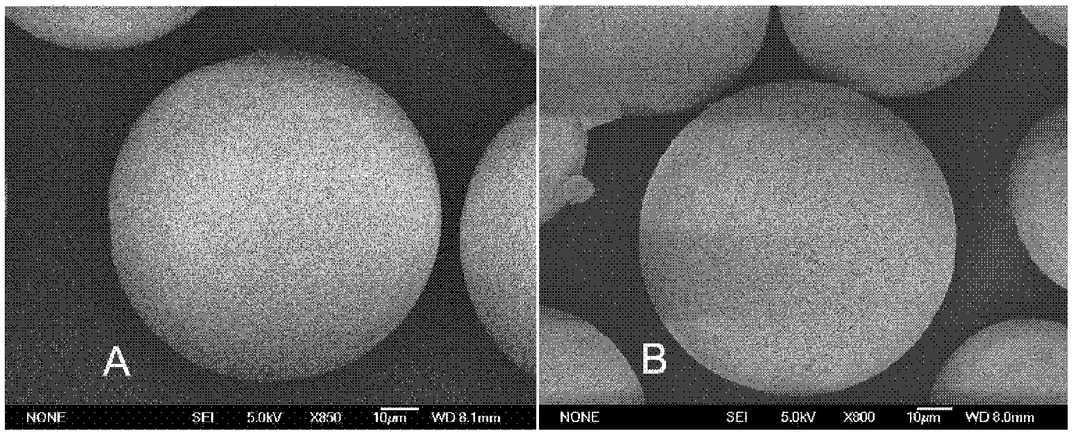 Polyacrylic ester and polyacrylic ester copolymer material hydrophilic modification products and hydrophilic modification method of polyacrylic ester