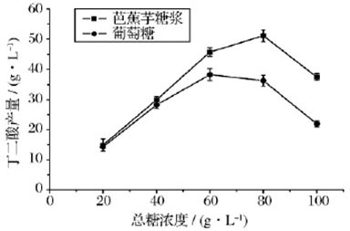 Method for producing succinic acid by utilizing fermentation of actinobacillus succinogenes