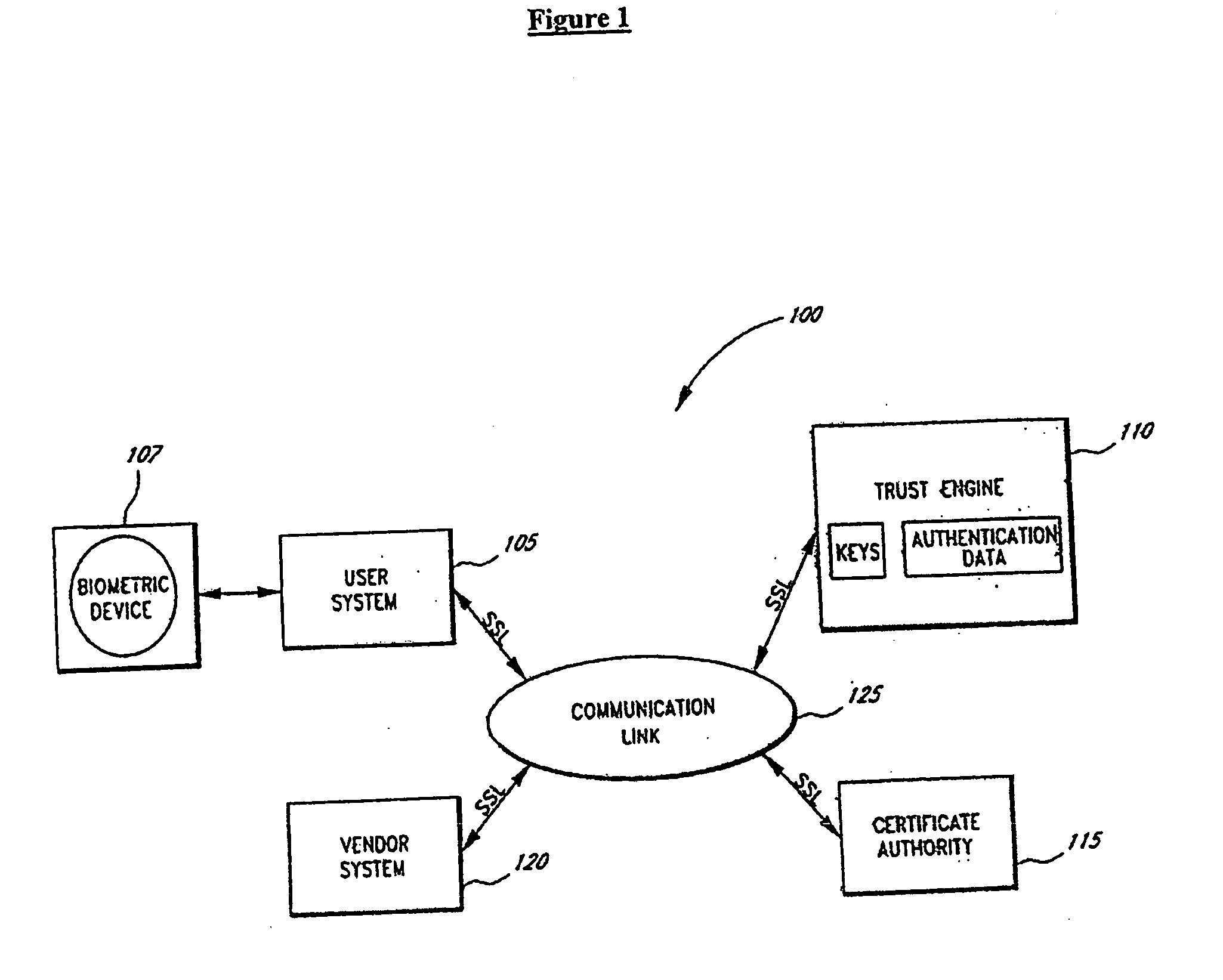 Systems and methods for distributing and securing data