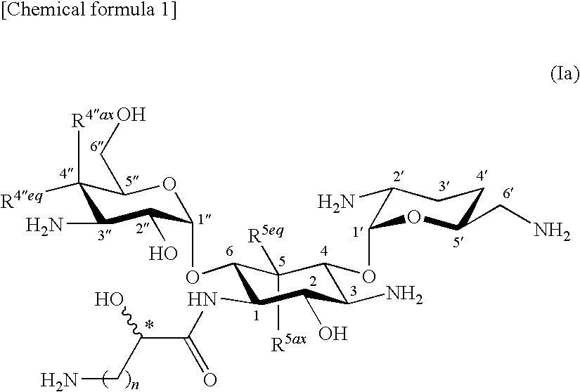 Novel aminoglycoside antibiotics