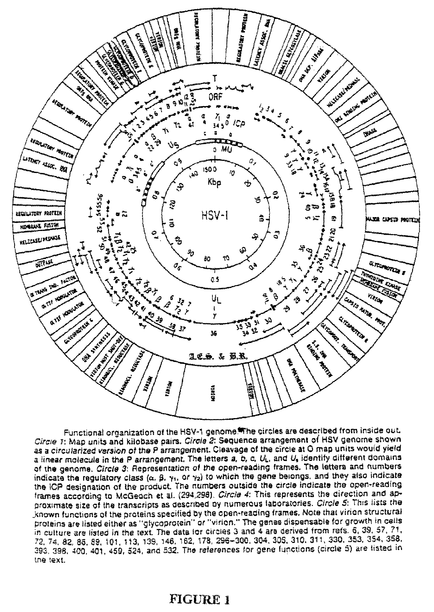 Cosmid DNA constructs and methods of making and using same