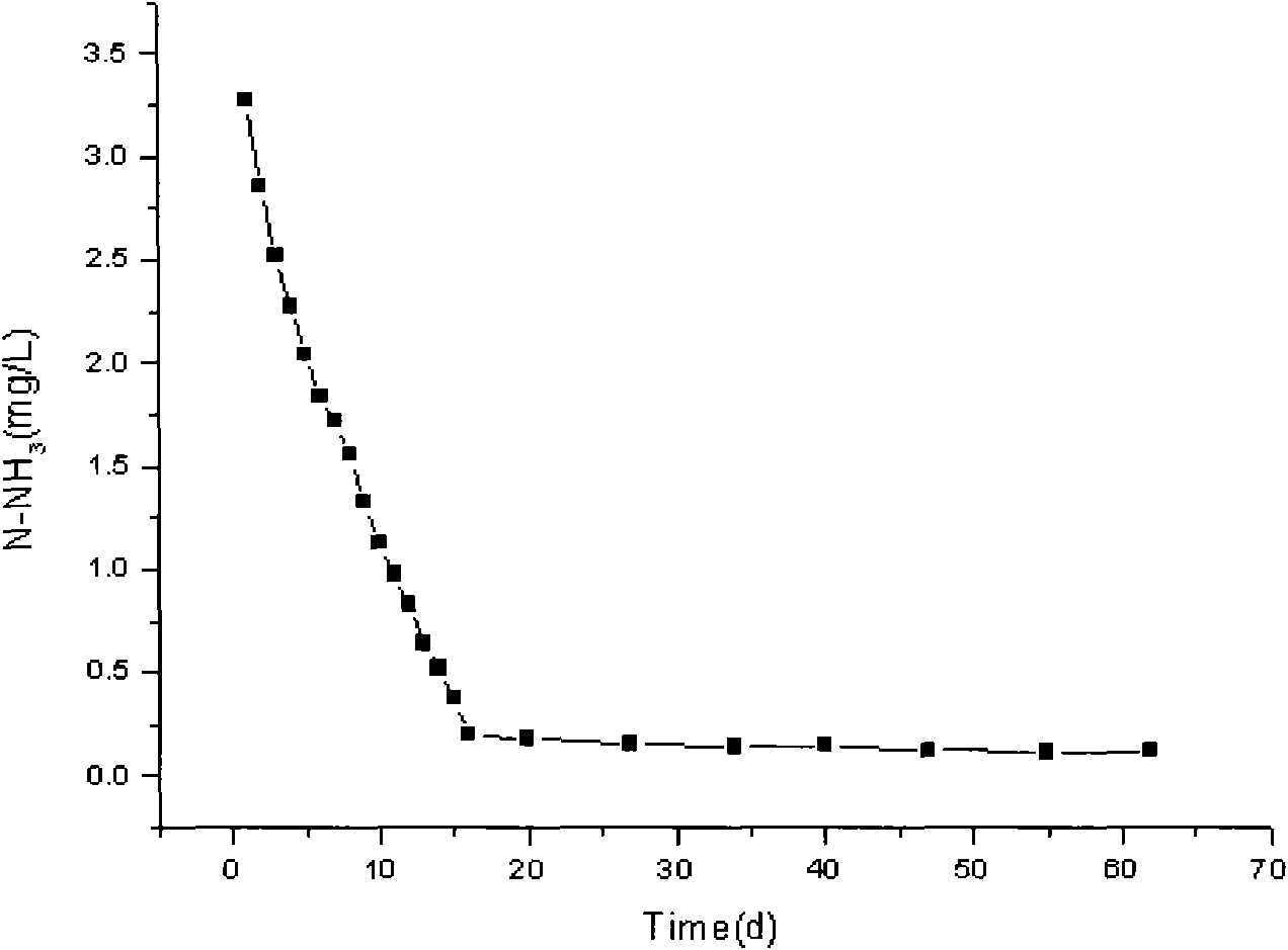 Method for treating polluted water body in lake