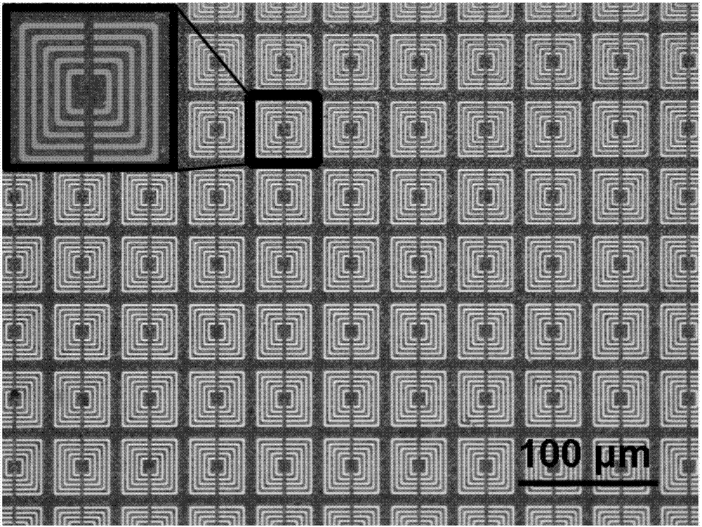 Rolling circle amplification-terahertz metamaterial biosensor and method for rapid detection of multidrug-resistant Mycobacterium tuberculosis