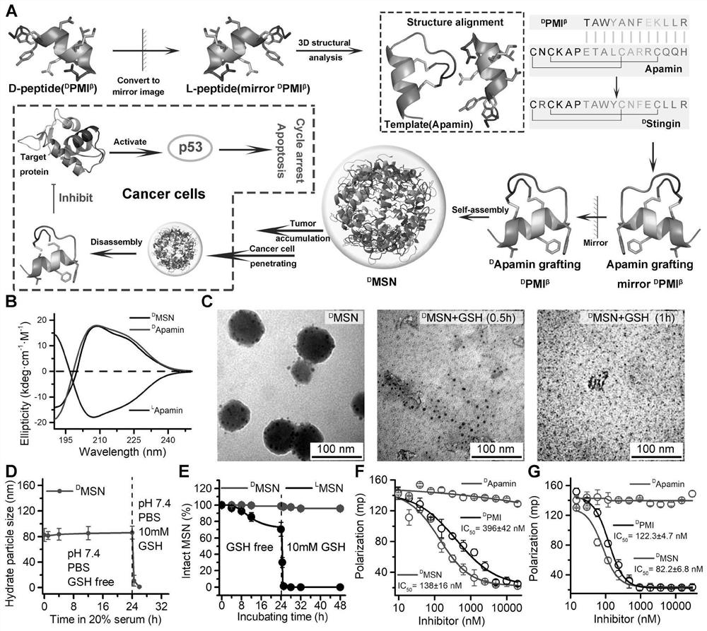 A kind of polypeptide and its synthesis method