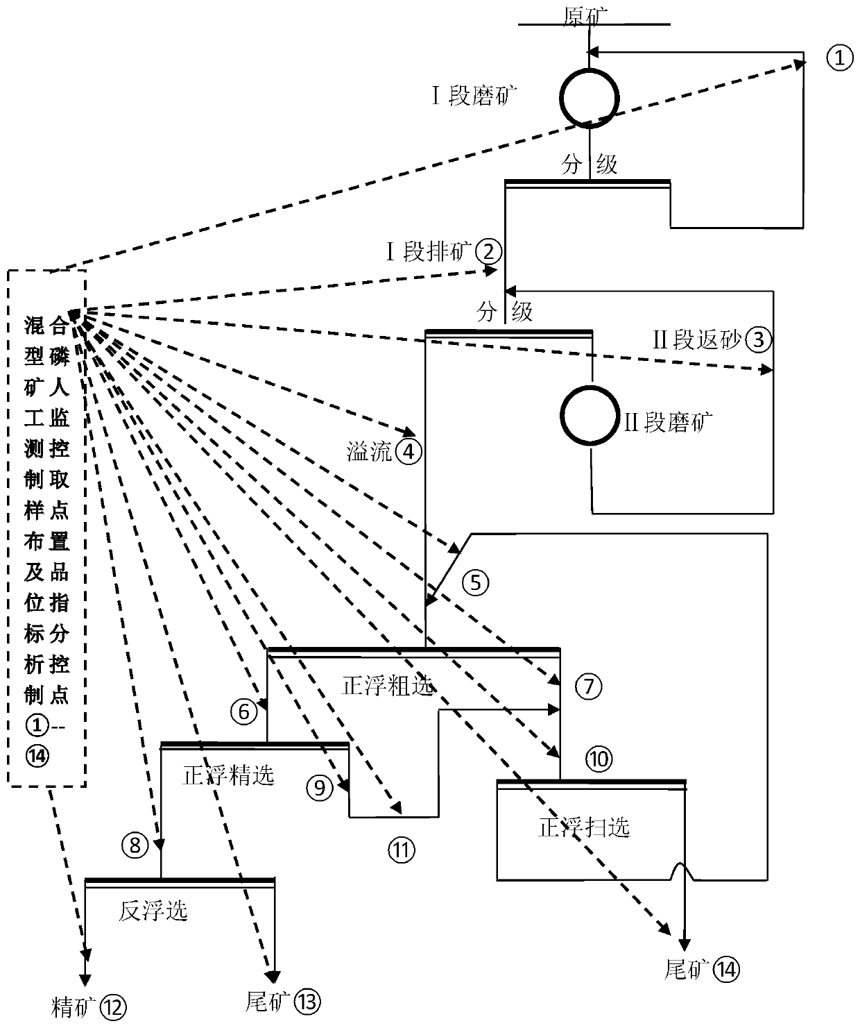 LIBS online detection system for phosphate ore beneficiation system and application of LIBS online detection system