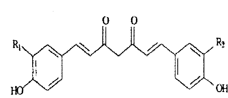 Curcumin preparation and its making method