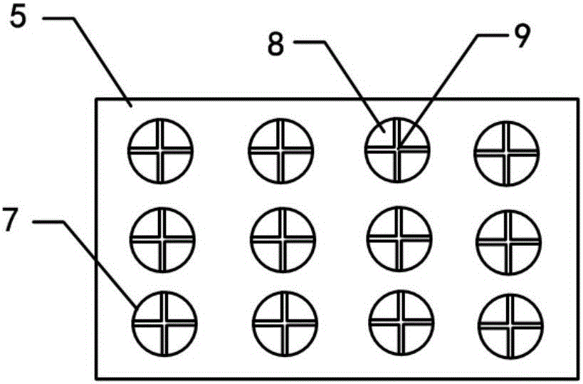 Screw disinfection box and method for orthopedics department