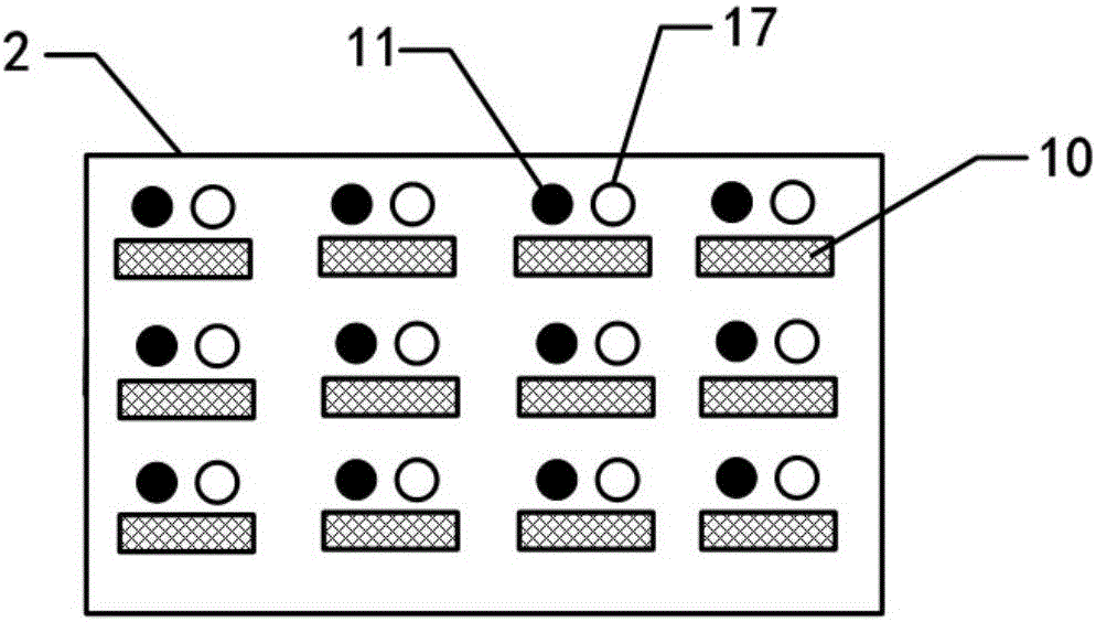 Screw disinfection box and method for orthopedics department