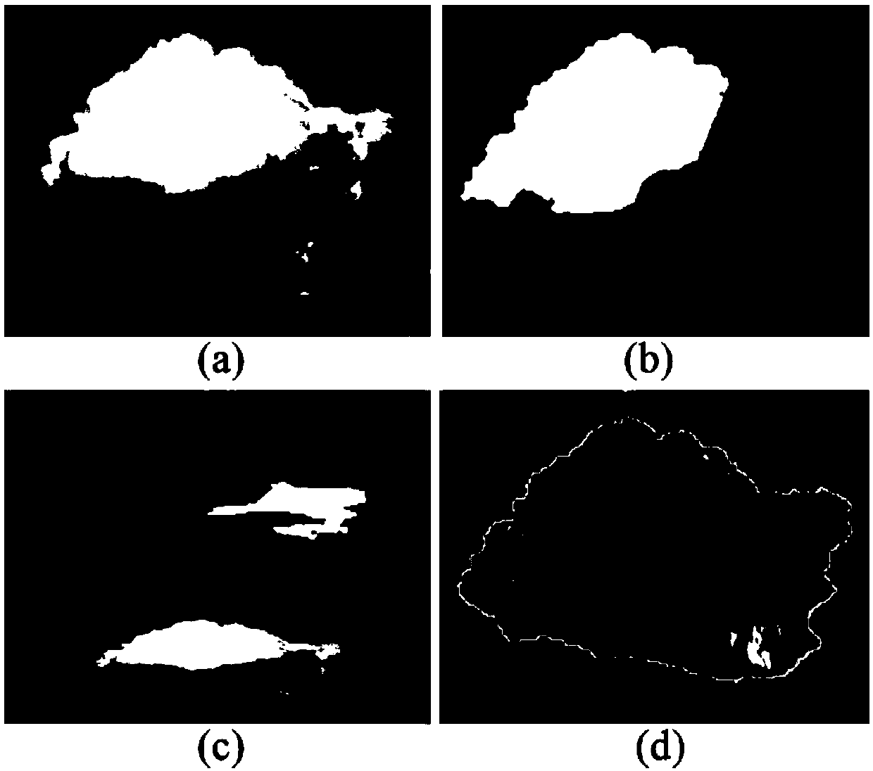 Method for reconstructing three-dimensional shape of cumulus based on single natural image