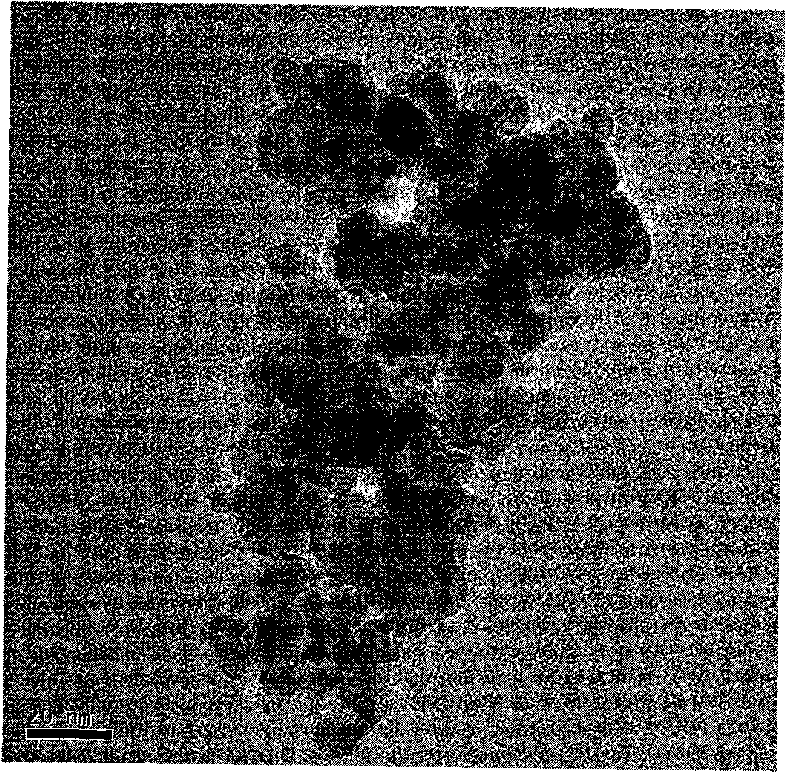 Method for preparing visible light photocatalyst Bi2O3/TiO