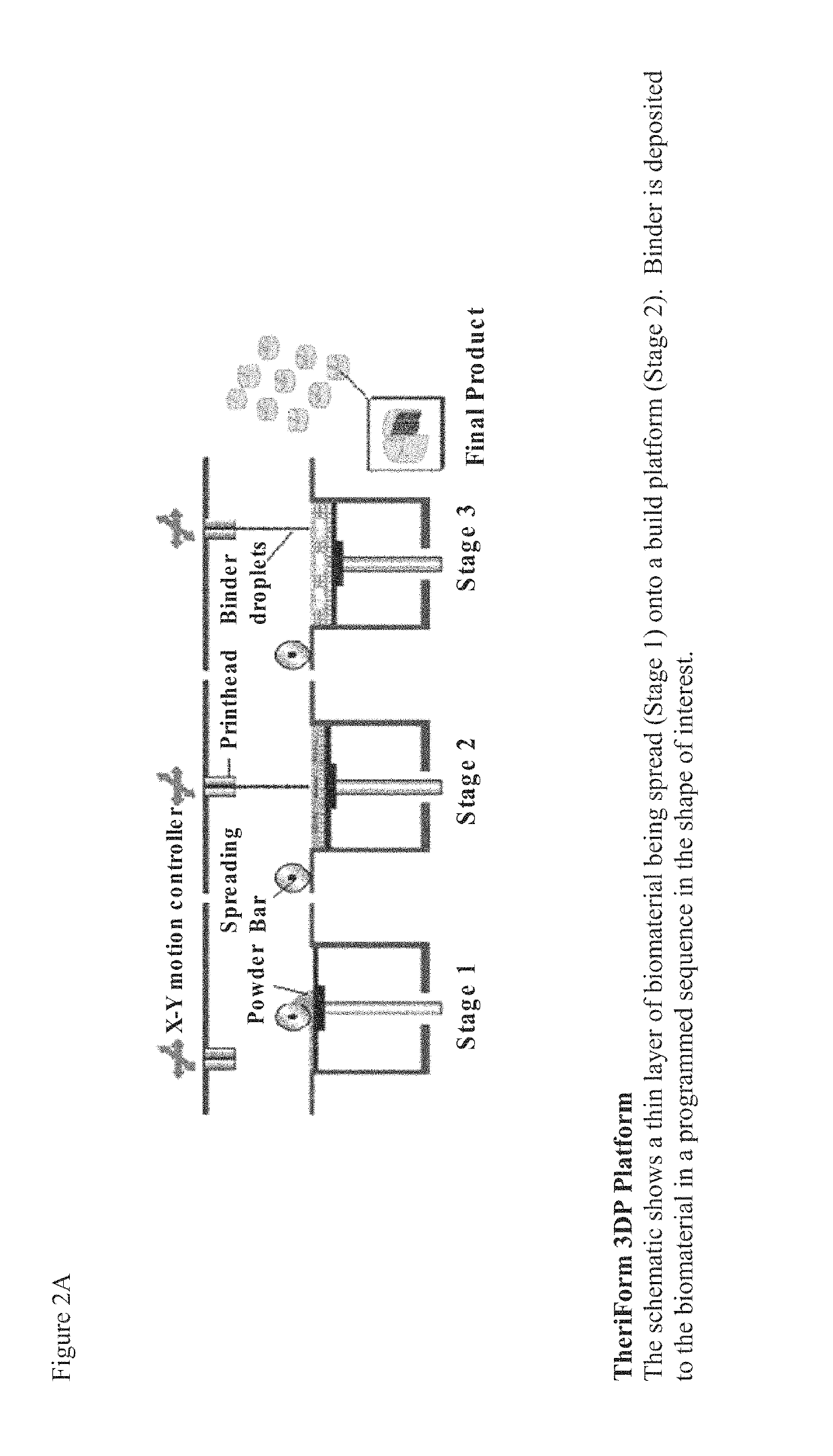 Tricalcium phosphate binding peptides and uses thereof