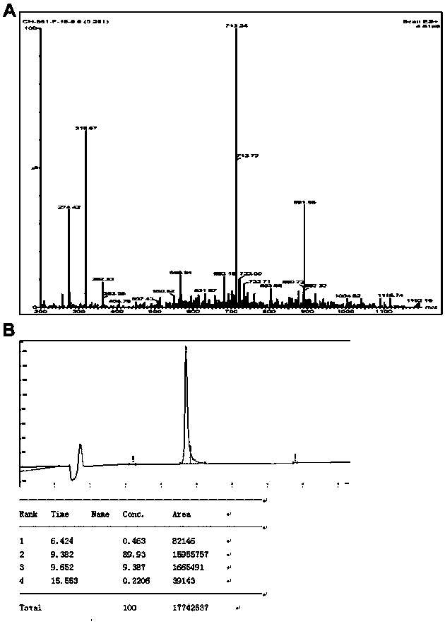 Antitumor polypeptide derived from FOXM1 protein