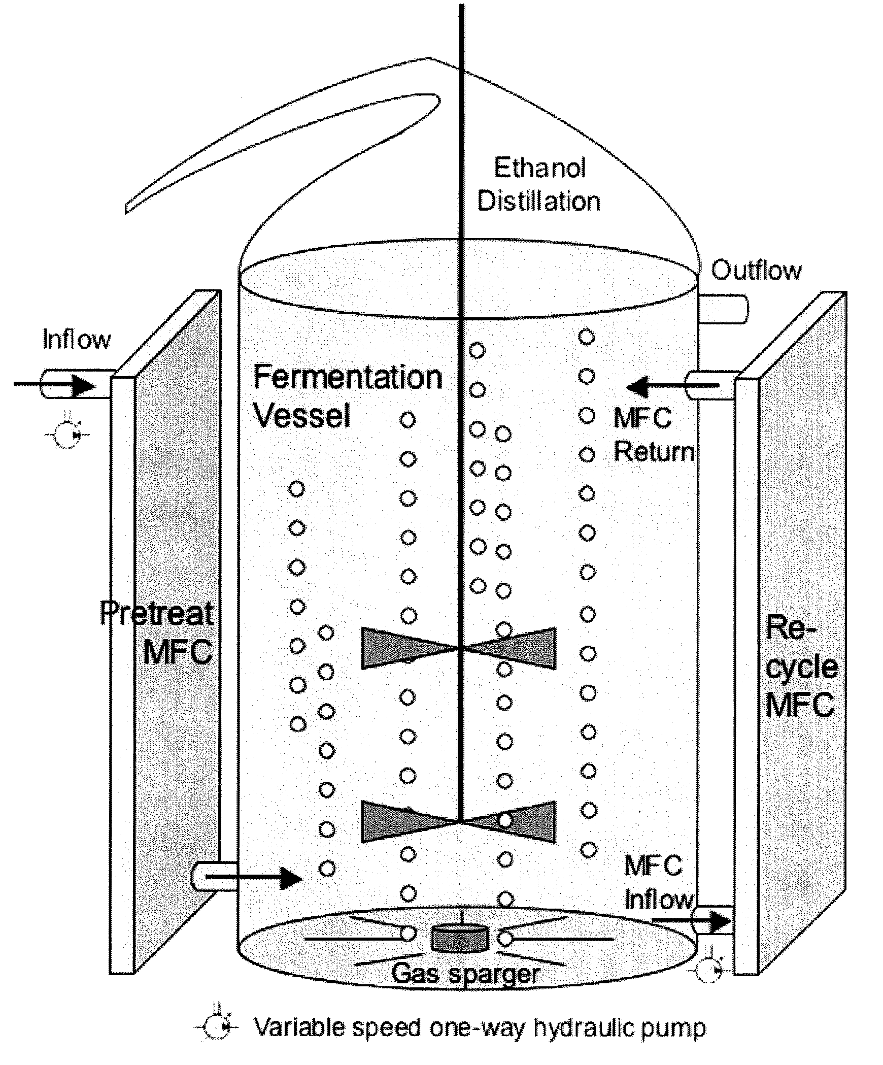 Apparatus and methods for the production of ethanol, hydrogen and electricity