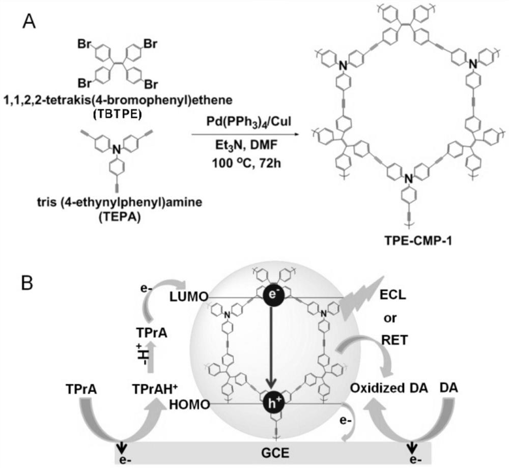 Aggregation-induced electrochemiluminescence sensor based on tetraphenylethylene conjugated microporous polymer and its preparation method and application