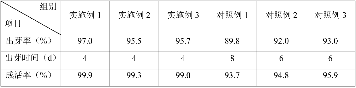 Method for improving watermelon seedling breeding quality and efficiency