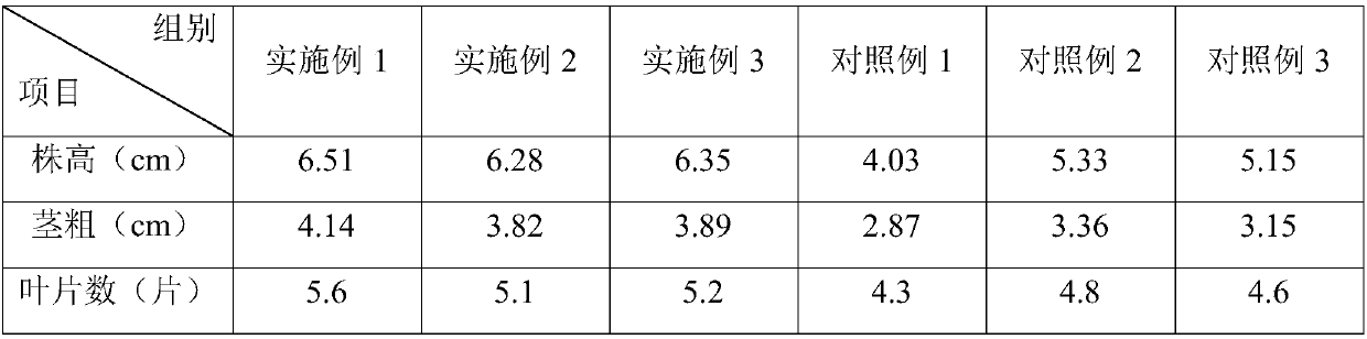 Method for improving watermelon seedling breeding quality and efficiency