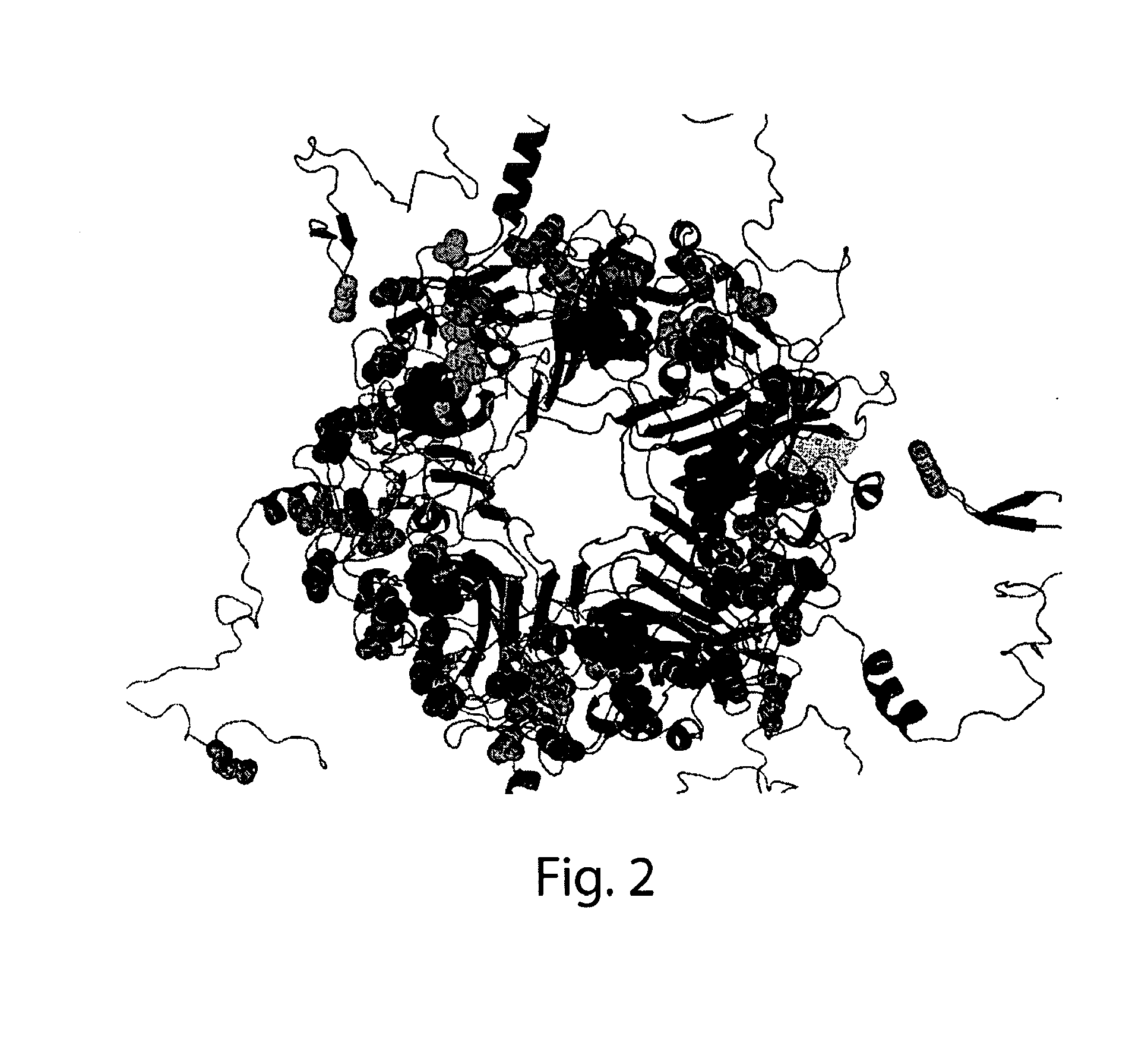 Methods for the detection of jc polyoma virus