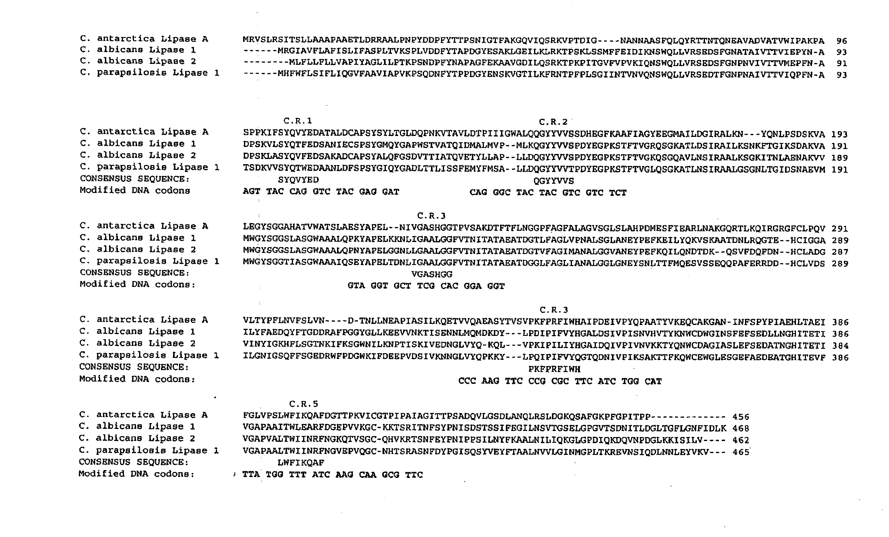 Libraries of recombinant chimeric proteins