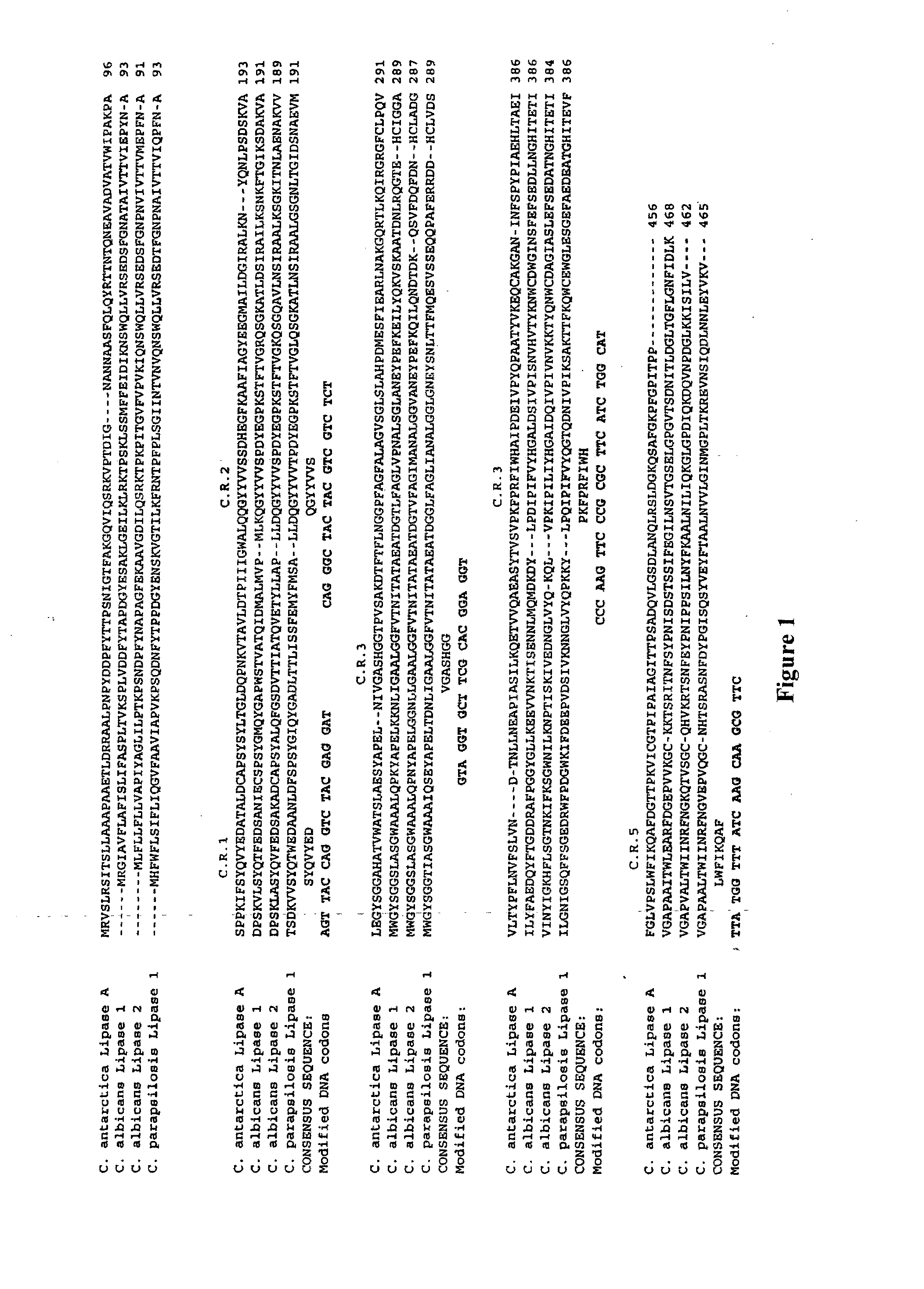 Libraries of recombinant chimeric proteins