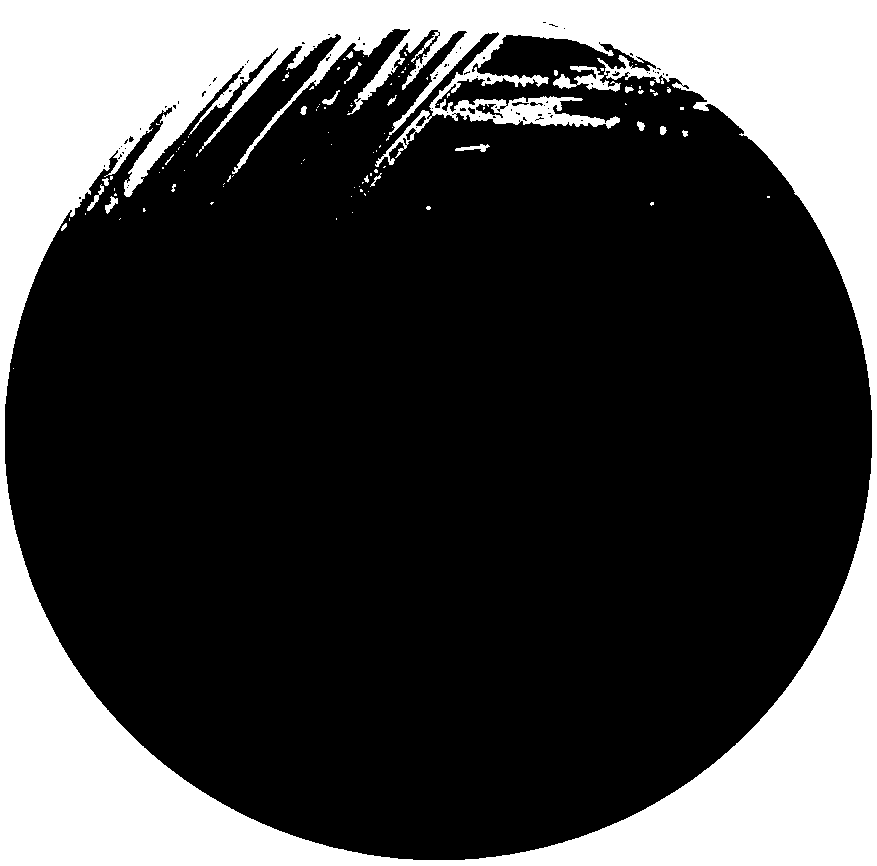 Degrading bacterium capable of efficiently degrading malachite green drug and application thereof