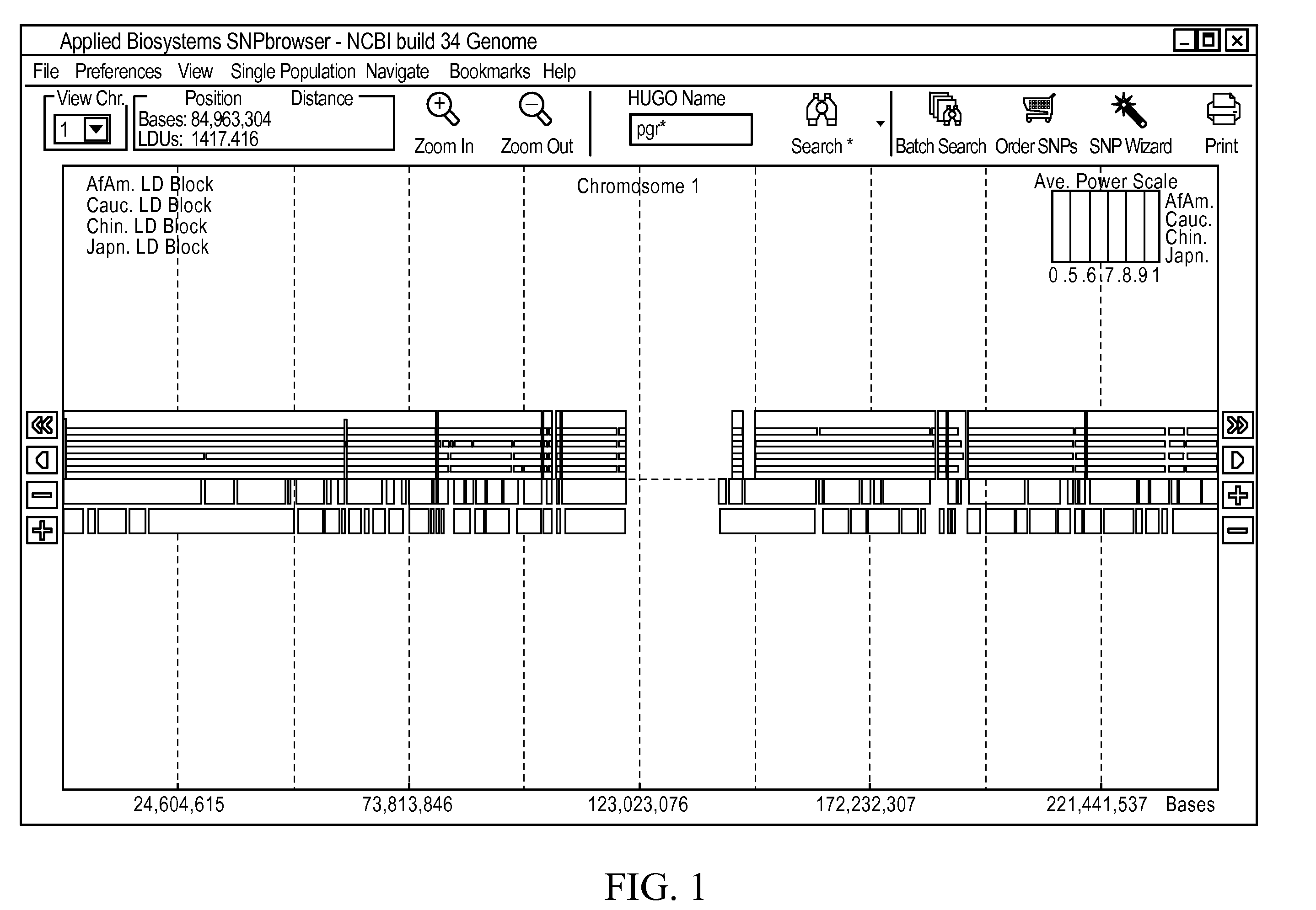 Methods and Workflows for Selecting Genetic Markers Utilizing Software Tool